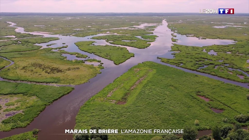 La France secrète : à la découverte du marais de Brière, l'Amazonie à la française