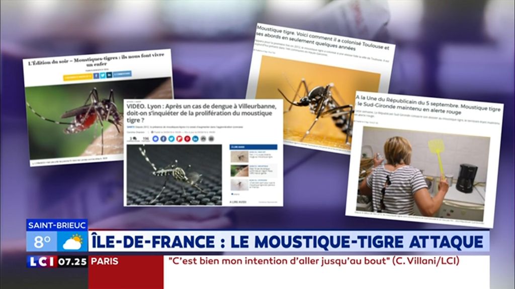 Notre santé : Île-de-France, le moustique tigre attaque