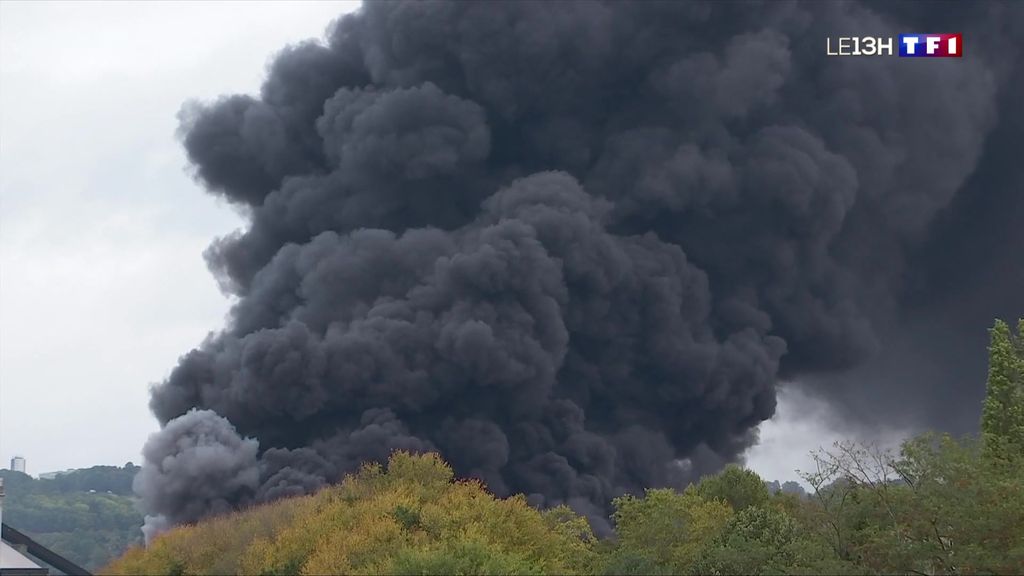 Incendie de l'usine Lubrizol : des récoltes suspendues dans les Hauts-de-France, une centaine de communes 