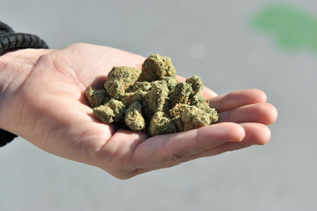 Un médicament à base de cannabis obtient son autorisation de mise sur le marché