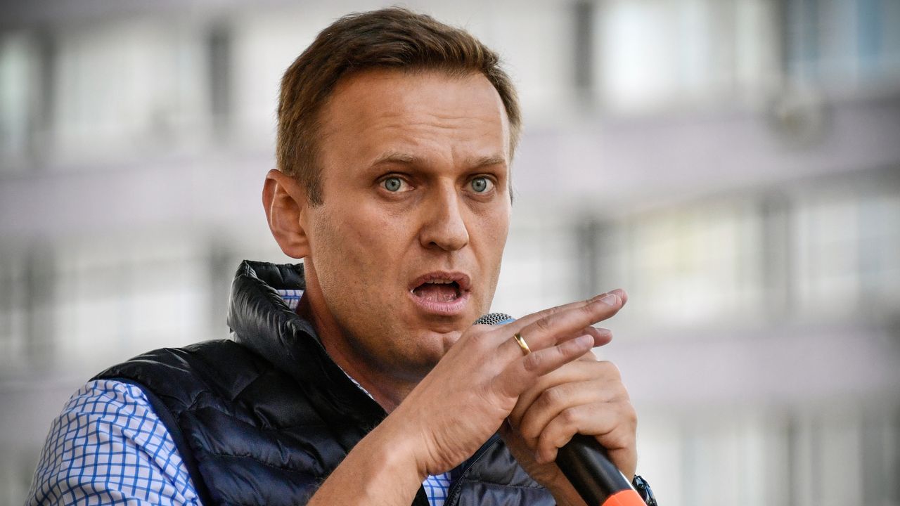 ArrÃªtÃ© Ã  son retour en Russie, l'opposant AlexeÃ¯ Navalny incarcÃ©rÃ© - LCI