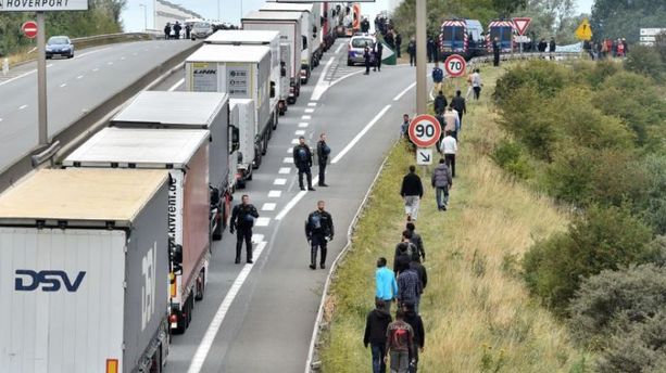 A Calais, des migrants montent dans un camion avec un ours blanc 