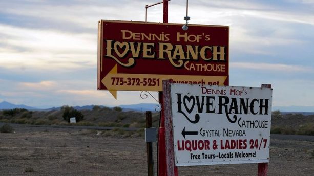 PHOTOS - À quoi ressemble le "Love Ranch" dans lequel Lamar Odom a été retrouvé ? 