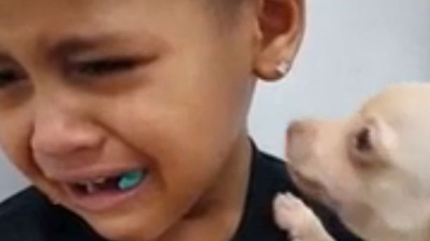 L'instant meugnon - Ce petit garçon fond en larmes en recevant son chiot dans les bras