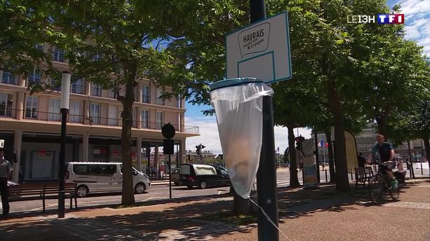 Havre : des poubelles ludiques pour inciter à la propreté