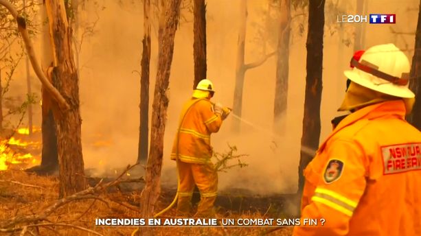 Incendies en Australie : un combat sans fin ?
