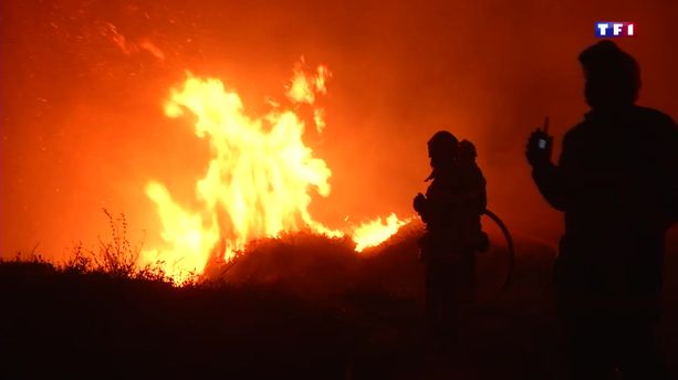 Incendies en Haute-Corse : Plus de 2.000 hectares de végétation parcourus et près d'un millier de personnes évacuées