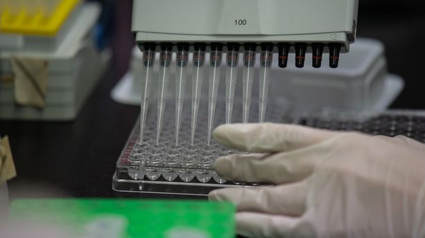 Après des essais "prometteurs", Sanofi prêt à offrir du Plaquenil pour soigner près de 300.000 malades du coronavirus