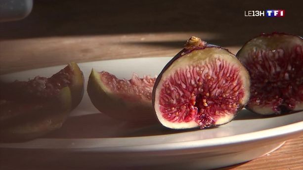 Saint-Mamert-du-Gard : c'est la pleine saison de récolte des figues