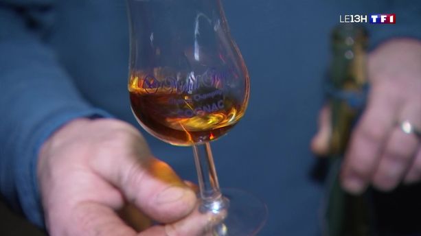 Trésors de Charente (1/4)  : à la découverte des secrets de fabrication du cognac