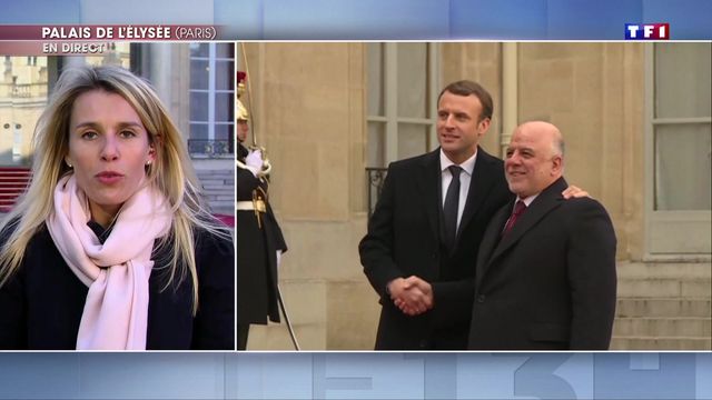 Emmanuel Macron reçoit quelques personnalités à l'Élysée