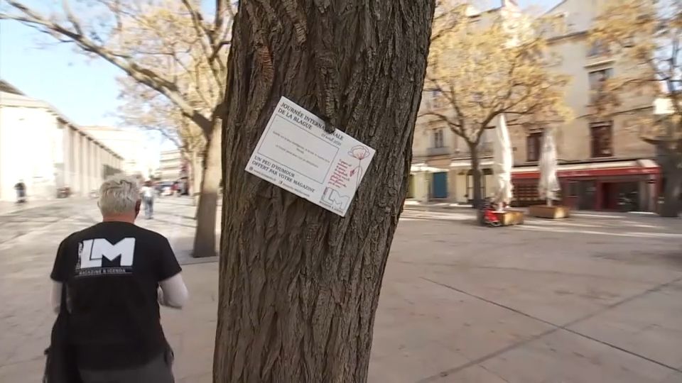 1er avril : des centaines de cartes avec blagues et défis semées à Montpellier